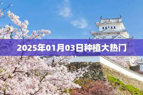 2025年种植热潮,热门植物趋势展望