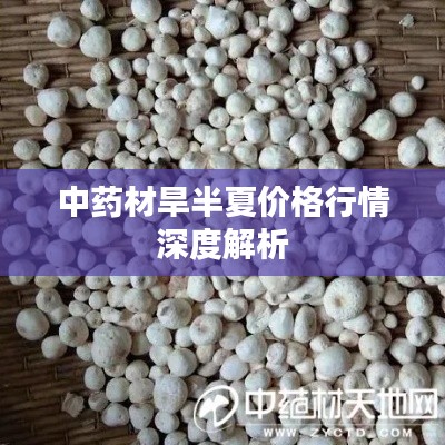 中药材旱半夏价格行情深度解析