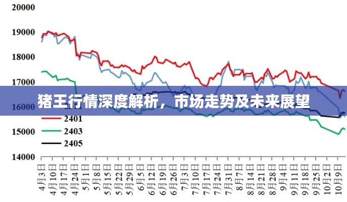 猪王行情深度解析,市场走势及未来展望